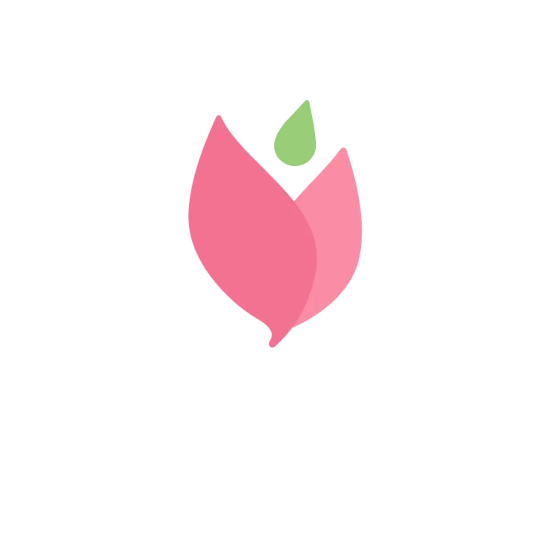 French Tulip
